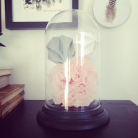 /album/personlig-inredning/bild-jpg/